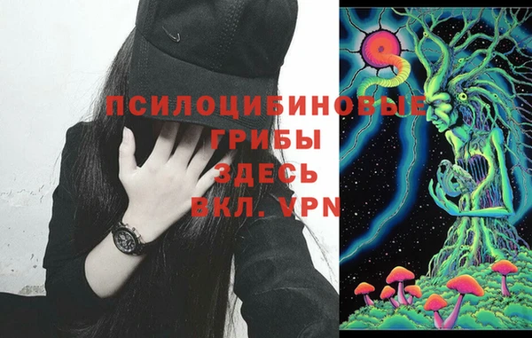 мяу мяу кристалл Алексин