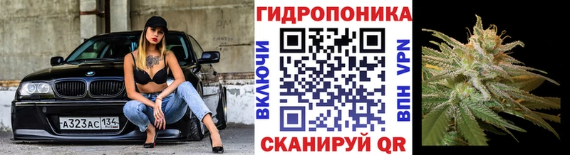 Шишки марихуана White Widow  Благодарный 